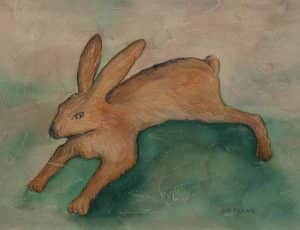 Rabbit